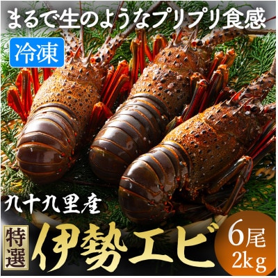 4/15～発送開始予定!あま～い!うま～い!リキッド凍結伊勢海老 刺身用 6尾2kg