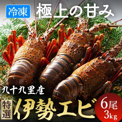 4/15～発送開始!甘い!旨い!冷凍品とは思えない!活け〆リキッド冷凍伊勢海老・刺身用6尾で3kg