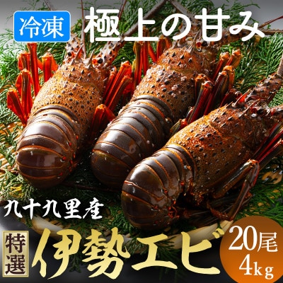 4/15～発送開始!旨い!冷凍品とは思えない!活け〆リキッド冷凍伊勢海老・刺身用 20尾で4kg