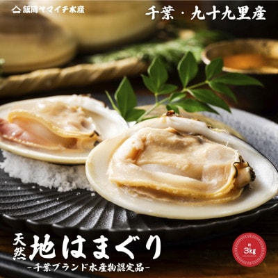 某TV番組で全国一位になった大粒活はまぐり　約3kg 九十九里産