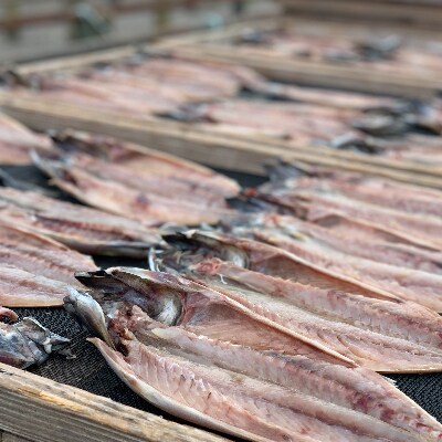豪華ヤマイチ大漁舟盛りセットおまかせ12種(金目鯛・生白魚・ムシカレイなど)