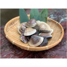 九十九里産 釜茹で ながらみ 1 2kg 小分け包装済み お礼品詳細 ふるさと納税なら さとふる 九十九里産 釜茹で ながらみ 1 2kg 小分け包装済み お礼品詳細 ふるさと納税なら さとふる