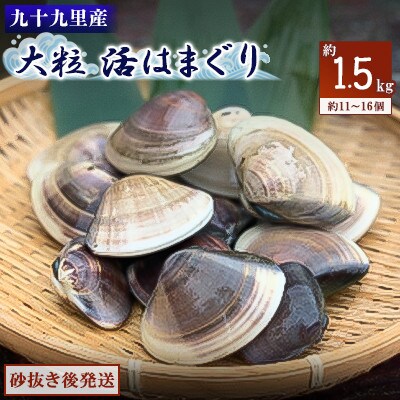 九十九里産 大粒活はまぐり 約1.5kg