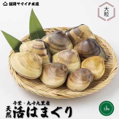 某TV番組で全国一位に!九十九里産　大粒活はまぐり　約1.5kg