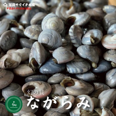 九十九里産!釜茹で「ながらみ」1kg