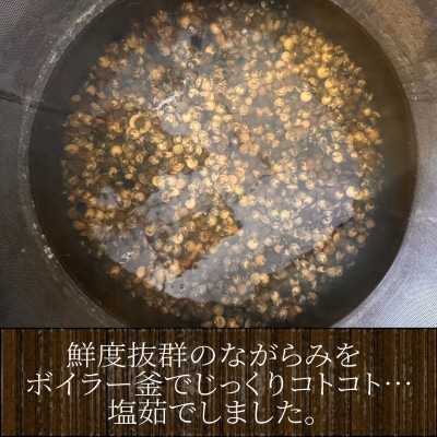九十九里産!釜茹で「ながらみ」1kg