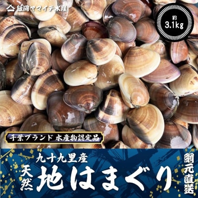 九十九里産　活はまぐり　約3.1kg