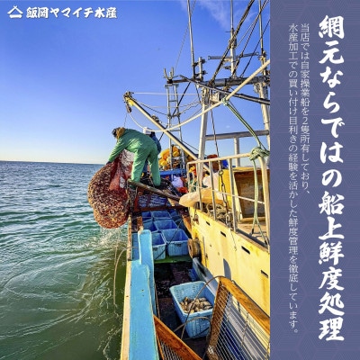 九十九里産　活はまぐり　約3.1kg