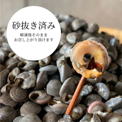 幻の貝!釜茹でながらみ　1kg