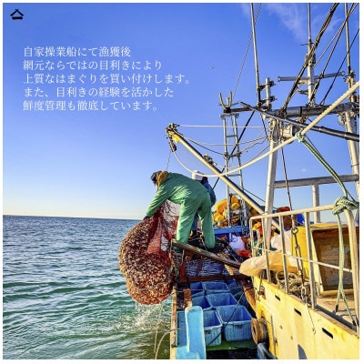 九十九里産　大粒活はまぐり　約5kg