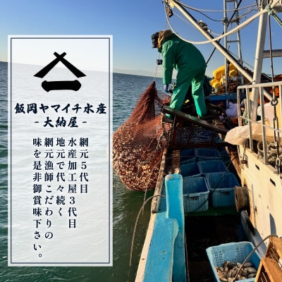【冷凍・大粒】網元直送 九十九里産　冷凍はまぐり　約2kg