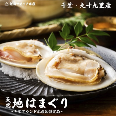 【冷凍・大粒】網元直送 九十九里産　冷凍はまぐり　約3kg