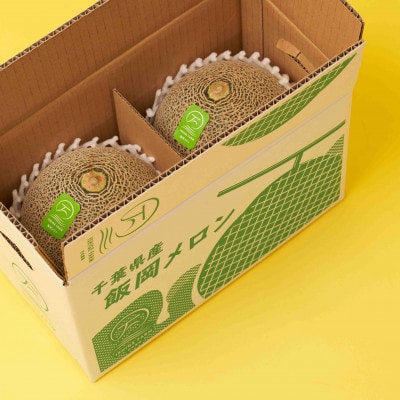 【2027年分先行予約】飯岡メロン　5Lサイズ(約1.7kg)×2玉セット(計約3.4kg)