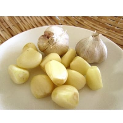 雷鳥　ガーリック味(82g)×16袋入り　1ケース【千葉県旭市 山中食品】