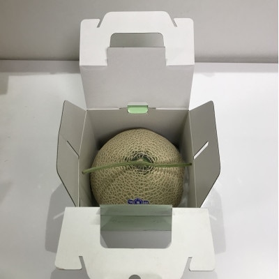 千葉アクアメロン1玉(約1.6kg)