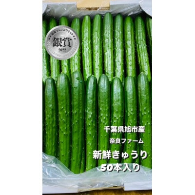 【産直】千葉県旭市産　奈良ファーム新鮮きゅうり50本　贈答にも