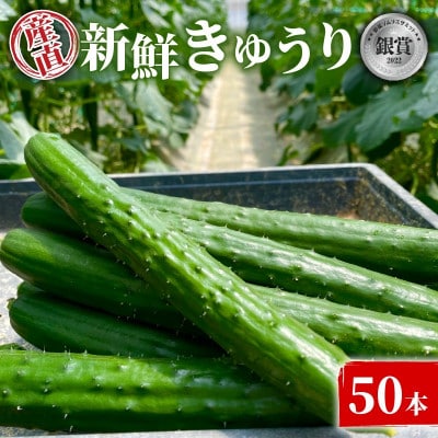 【産直】千葉県旭市産　奈良ファーム新鮮きゅうり50本　贈答にも
