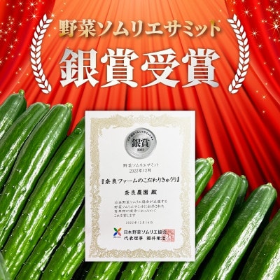 【産直】千葉県旭市産　奈良ファーム新鮮きゅうり50本　贈答にも