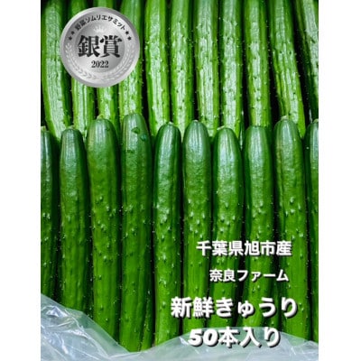 【産直】千葉県旭市産　奈良ファーム新鮮きゅうり50本　贈答にも