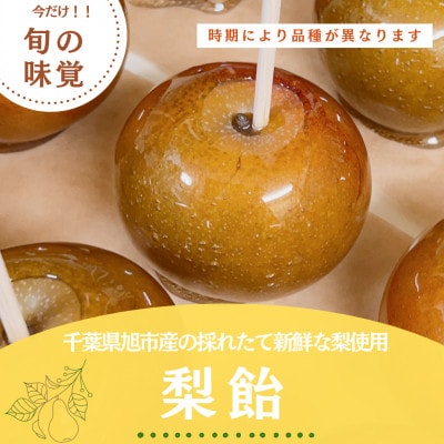 【今だけ!旬の味覚】千葉県旭市産の採れたて新鮮な梨を使用した梨飴　5個