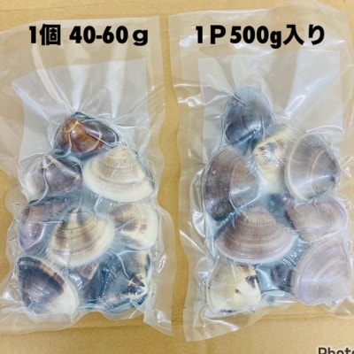 千葉県産 液体冷凍(-35度) はまぐり 1個40-60g/60-90g 各2パック(合計約2kg)