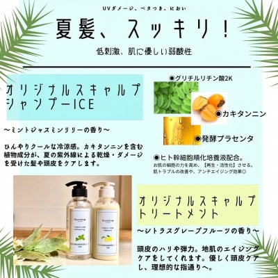 Snowdrop(スノードロップ)スキャルプアイスシャンプー本体300ml　1本