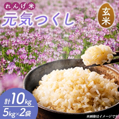 【令和7年産】れんげ米 元気つくし(玄米) 計10kg(5kg×2袋)～はたなかFarm～