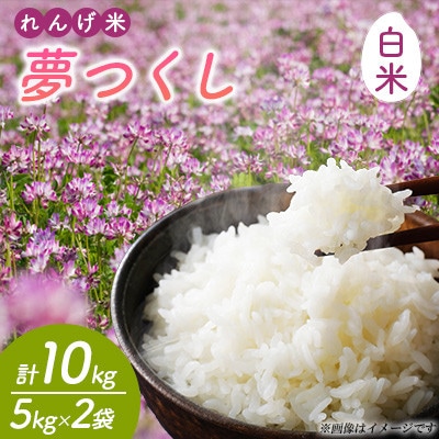 【令和7年産】れんげ米 夢つくし(白米) 計10kg(5kg×2袋)～はたなかFarm～