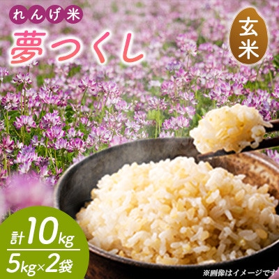 【令和7年産】れんげ米 夢つくし(玄米) 計10kg(5kg×2袋)～はたなかFarm～