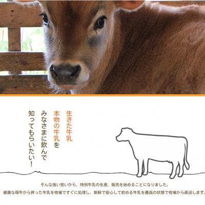 白木牧場 特別牛乳 200ml×10本