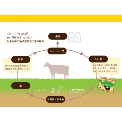 白木牧場 特別牛乳を使用した ワッフル(プレーン、抹茶、チョコ)計10個