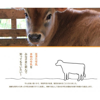 白木牧場 特別牛乳 200ml×6本と特別牛乳ワッフル 4個セット