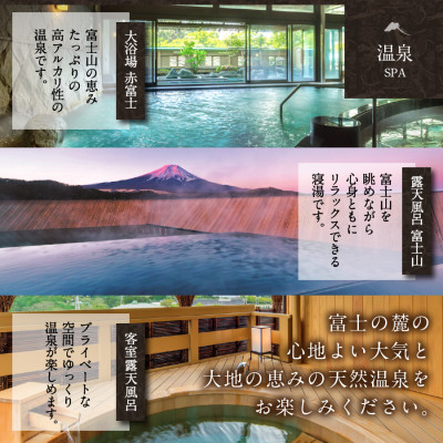 ホテル鐘山苑　宿泊券　E