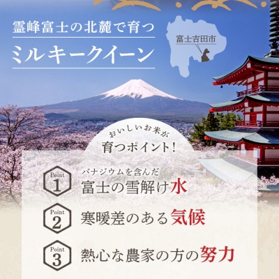 【令和6年産】ミルキークイーン 白米 5kg×2袋 山梨県富士吉田市産