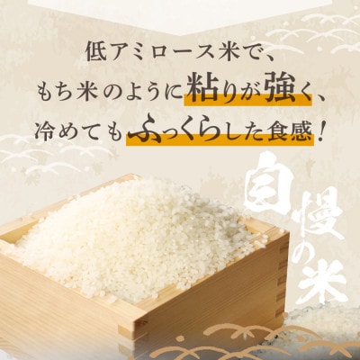 【令和6年産】ミルキークイーン 白米 5kg×2袋 山梨県富士吉田市産