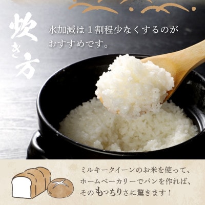 【令和6年産】ミルキークイーン 白米 5kg×2袋 山梨県富士吉田市産