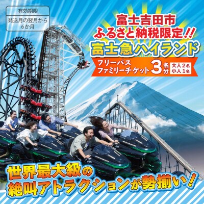 富士急ハイランドフリーパスファミリーチケット3名(大人2名・小人1名)
