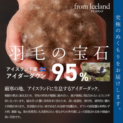 羽毛肌掛け布団 シングル アイダーダウン95%ジャガード織 日本製 お任せカバー付【甲州羽毛ふとん】