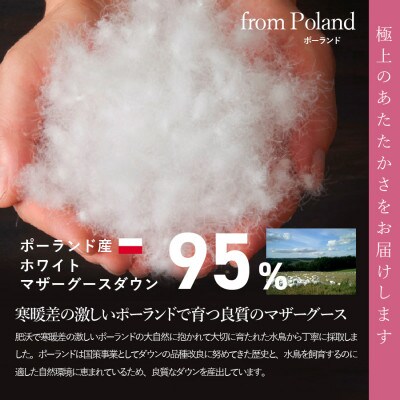 羽毛合い掛け布団 ダブル ポーランド産グース 綿 ホワイト 日本製 カバー付【甲州羽毛ふとん】