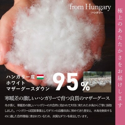 羽毛本掛け布団 ダブル ハンガリー産グース 綿 ホワイト 日本製 カバー付【甲州羽毛ふとん】