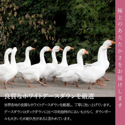 抗菌・抗ウイルス加工羽毛本掛け布団 セミダブル 日本製 羽毛布団 掛け布団 国産【甲州羽毛ふとん】