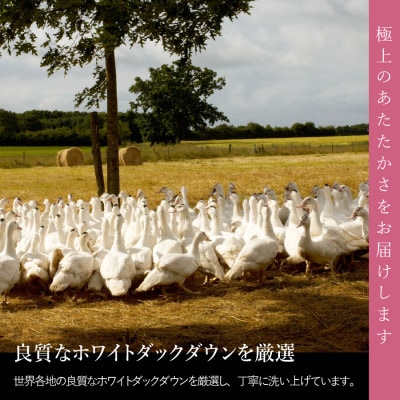 洗える羽毛合い掛け布団セット セミダブル 抗菌・除菌・ウイルス除去カバー 日本製【甲州羽毛ふとん】