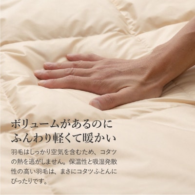 洗える羽毛こたつ布団 正方形 ベージュ 日本製 【甲州羽毛ふとん】ダウン50%