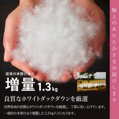 【緊急支援!訳あり】布団回収・再生サービス付き・甲州羽毛本掛けふとん増量1.3kg日本製(シングル)