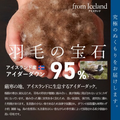 【甲州羽毛合掛けふとん】アイダーダウン(600g)ジャガード織り・カバー付き(シングル)日本製