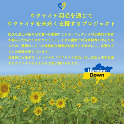 【甲州羽毛本掛けふとん】ウクライナホワイトマザーグース95%抗菌の糸 ホワイト(セミダブ) カバー付