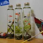 金魚のハーバリウム