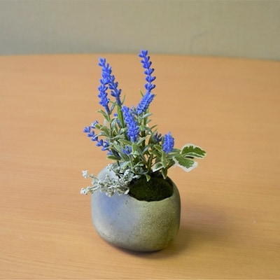 和モダン　苔盆栽セット(ファーン・もみじ・ラベンダー)