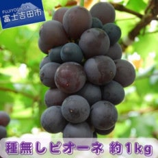 果樹王国&ldquo;やまなし&rdquo;から&lt;旬を先取り&gt;ハウス栽培種無しピオーネ2～3房(約1kg)