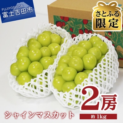 【さとふる限定】果樹王国 やまなし から シャインマスカット 2房 (約1kg)